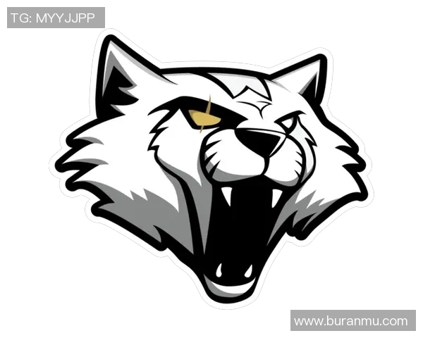 聚焦CSGOV5战队的比赛经验与成长之路探讨