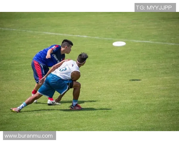 南京飞盘队节奏之争引发热议球迷与专家各执己见探讨飞盘运动发展
