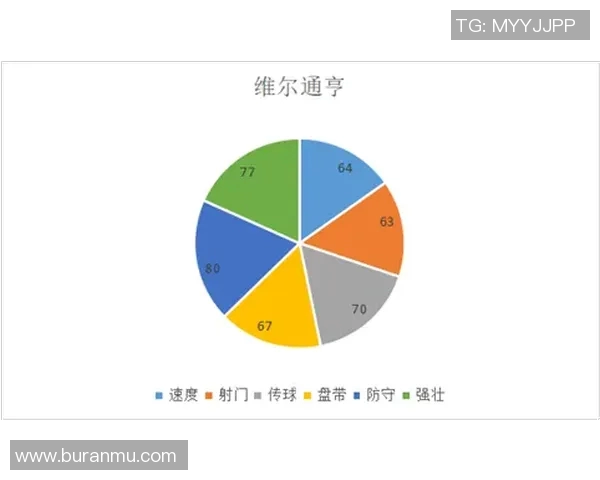 杭州排球队防守策略解析与战术创新探讨