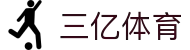 三亿(集团)体育科技有限公司官网